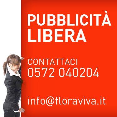 375x375 libero lettere